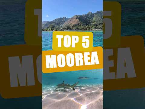 POLYNESIE : TOP