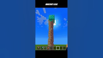 Minecraft logic💀| Minecraft