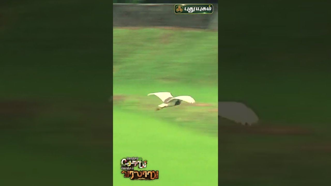 பாலக்காடு சுற்றிப் பார்க்கலாமா! | Palakkad | PuthuyugamTV