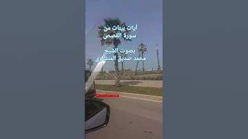 #سورة_القصص . تلاوة عطرة ومتخشعة للشيخ #محمد_صديق_المنشاوي #القرآن_الكريم #love #اكسبلور #quran