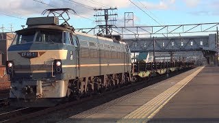 ♯18【JR貨物】EF66-27牽引の8091レ