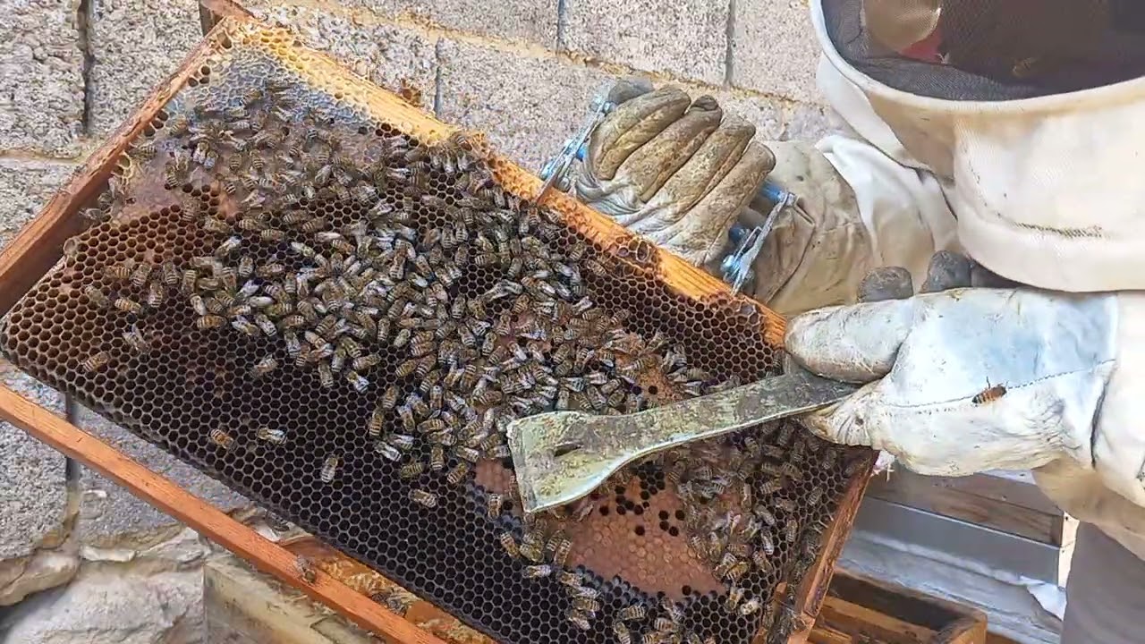 Az kalan kovana yiğecek desteği verdik 23/02/2026