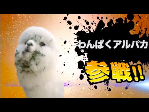 激やばアニマル全員参戦！！part2