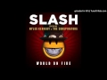 Slash - "Stone Blind" (SMKC) [HD] (Lyrics)