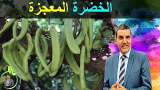 خضرة منسية تدخل في علاج 70 مرض مع الدكتور محمد الفايد