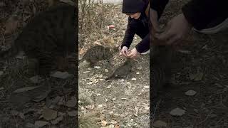 лучший рецепт хорошего настроения 🐾✨#cat #funny