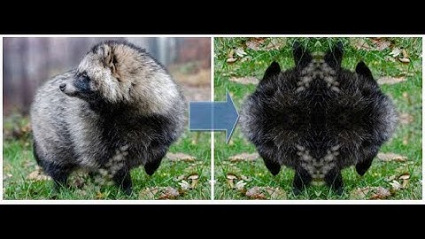 #fast #image #mirror #bottom #right with #my 100%  #pure #python #graphics #library