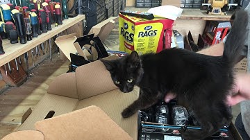 Setting Up a Annke 4K Camera Security System