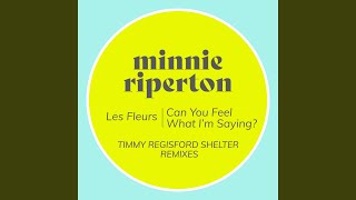 Les Fleurs (Timmy Regisford Shelter Remix)