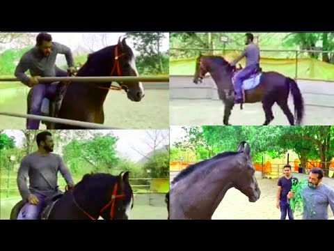 Salman Khan Feeding