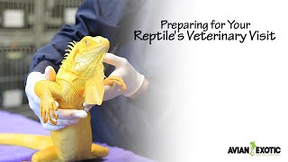 Preparing for Your Reptile s Veterinary Visit