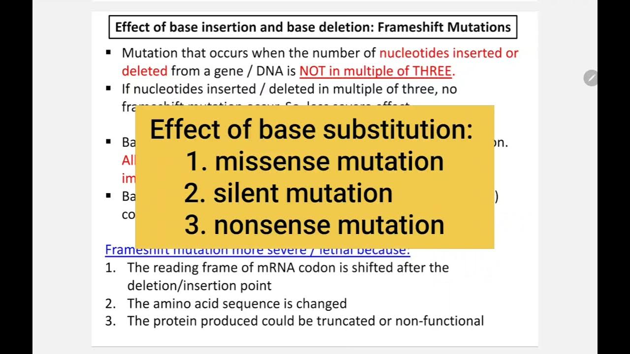 7.2 (f) & (g) Base Insertion and Base Deletion that causes Frameshift mutation YouTube