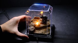 I Made a Cozy Campfire for One of You @Boylei