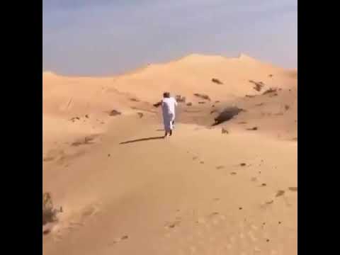 مقاطع مضحكة جدا الصقر وراعي الصقر للبيع