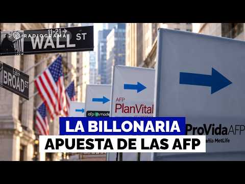 Who is responsible for the sharp drop in Fondo E? The collapse after the AFP "bet"