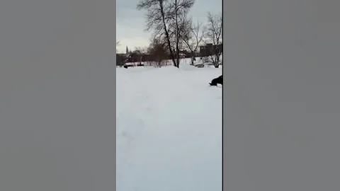Maxine Xavier Meredith in the snow