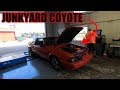 How much power does a JUNKYARD coyote engine make? *KILLER NUMBERS*