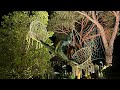 Welcome to Eden