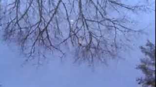 Dax Johnson  -  This Present Place