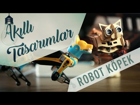 Öğrenebilen Robot Köpek