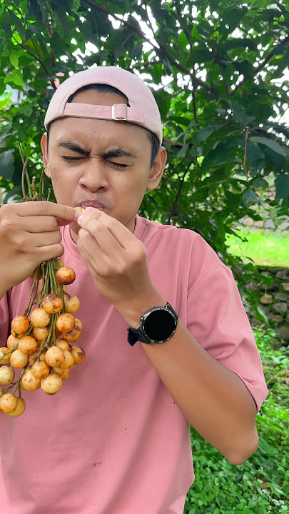 Download lagu Eat Round, Sour Fruit 🍒