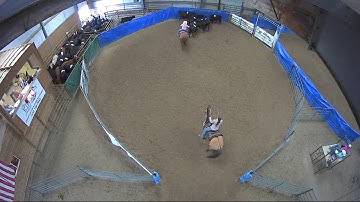Big Sky Ranch Sorting Saddle Series #5 - #3 - Round #2 - Ride #10