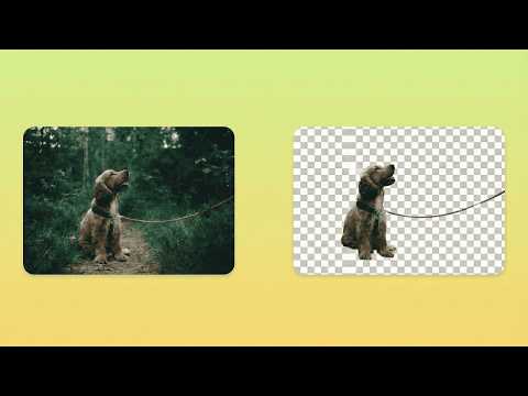 AlphaDrop - AI Background Remover video preview 2