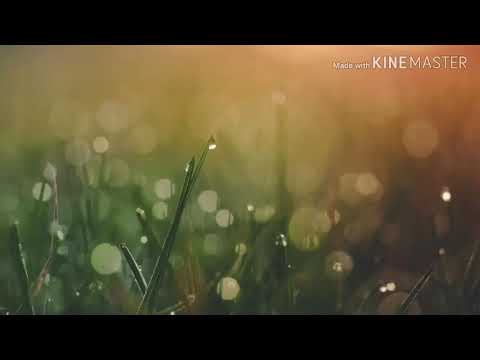 اغنية في غاية الروعة حازم محمد