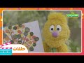أهلا سمسم الموسم الرابع الحلقة 5 اللون المفقود