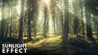 Sunlight effect in Photoshop in Hindi | Create Amazing Light Flares & Haze in Photoshop.