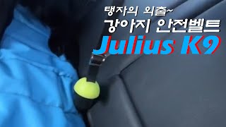 대형견 승용차 태우는 법 [강아지 전용 안전벨트 사용후기 Julius K9]ㅣ개탱자