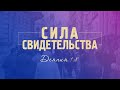 Сила свидетельства (Алексей Коломийцев)