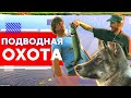 Подводная охота или как мы спасли Лося| Северный Байкал | Nord Baikal
