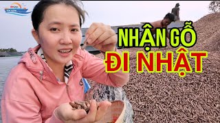 Nhận Gỗ Đi Nhật, Hàng Nhẹ Bụi Bay Mù Mụt Tại Cảng Thạnh Phước Bình Dương Giao Cho Tàu Mẹ