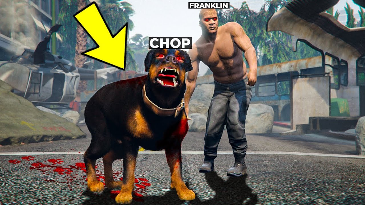 JOGANDO GTA 5 COMO UM CACHORRO/CHOP ZUMBI!!!