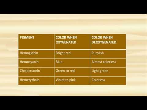 Characteristics of invertebrate coelomic fluid, hemolymph, and blood cells