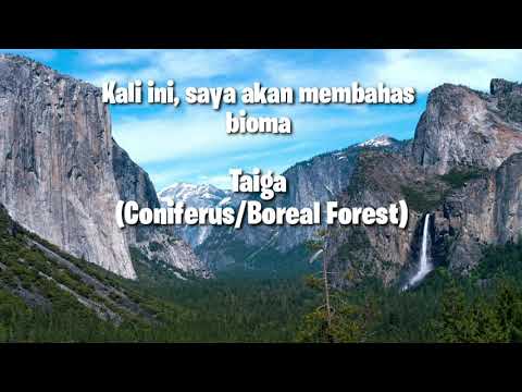 Video: Taiga: Apa Itu Dan Apa Ciri-cirinya