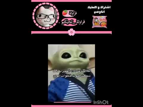      اكسبلور مالي خلق احط هاشتاقات بلاكبينك ملكات الكيبوب رتي 