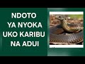 IF YOU DREAM OF A SNAKE YOUR ENEMY WILL ATTACK YOU 255622074085 