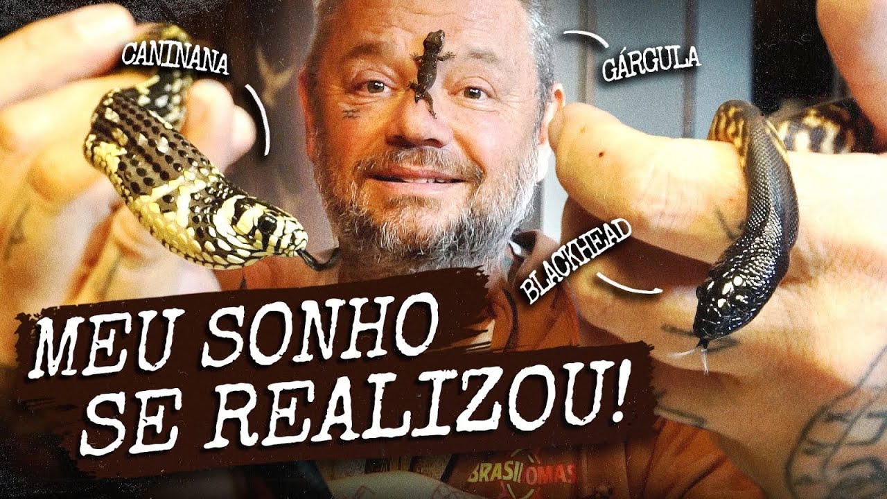 NÃO PARA DE CHEGAR RÉPTEIS NA CASA DOS BICHOS!