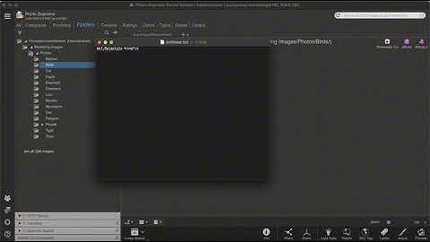 Text Expansion - A short walk-through