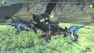 【MHF】HR31~ リオレウス亜種 特異個体 ソロハンマー討伐20分針