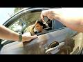 Teen Fakes Surrender… Then Crashes Into Cop Car in Wild Chase