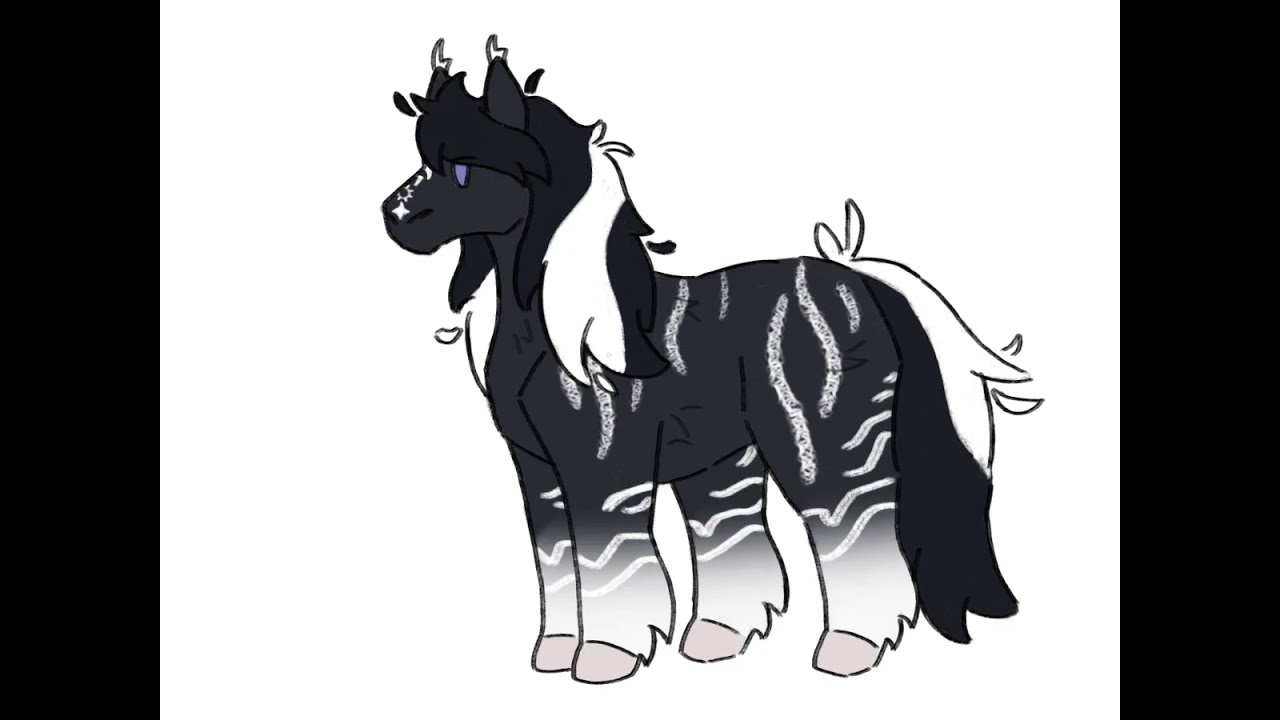 SSO tenth anniversary