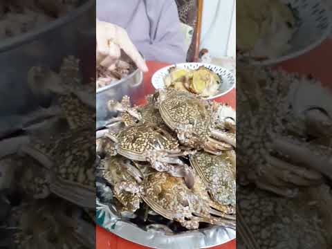 محدش يقولى اى الاكل اللى بتاكلوه ده احنا بنحبه وهناكله