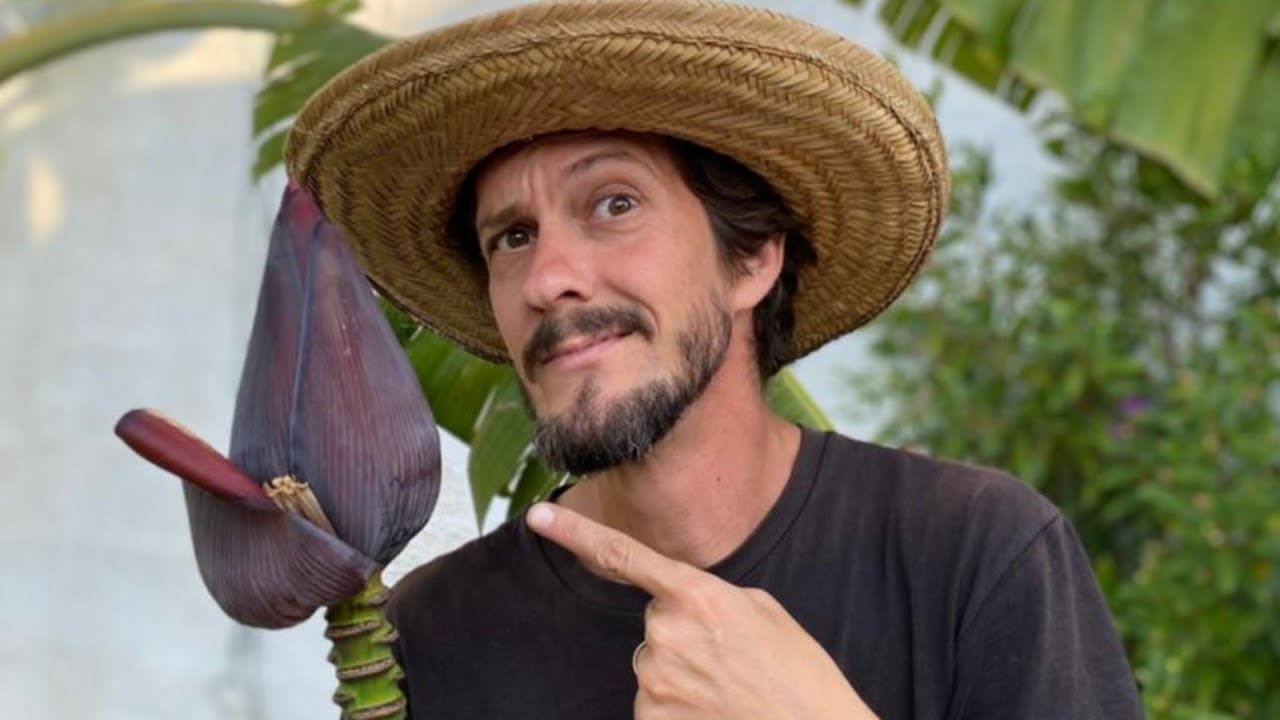 QUANDO CORTAR O UMBIGO OU CORAÇÃO DA BANANEIRA.