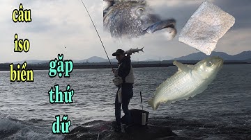 Câu iso biển ngày sóng lớn| dính con cá mà người câu iso ghét nhất| NDK Vlogs
