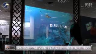 Touch Foil Smart Glass Float Touch, Shifting Between Transparent and Non-Transparent