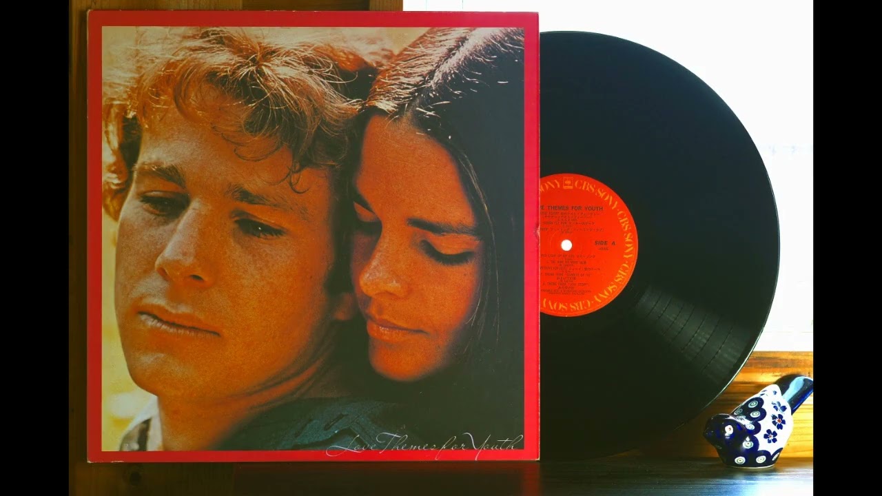 MOVIE THEMES 映画音楽 LPレコード ほぼ未使用 LPレコードで映画音楽 ”ゴッドファーザー” ”風のささやき” 他 全6曲