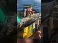 Walang Kumakagat #fishingadventure #fishing